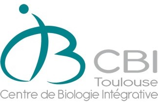 CBI_toulouse